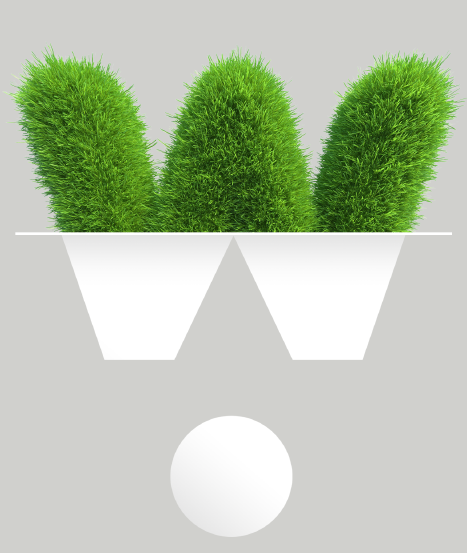 Eco friendly Laundry Service