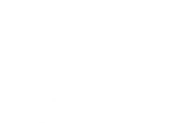 Express Delivery in Dubai, UAE