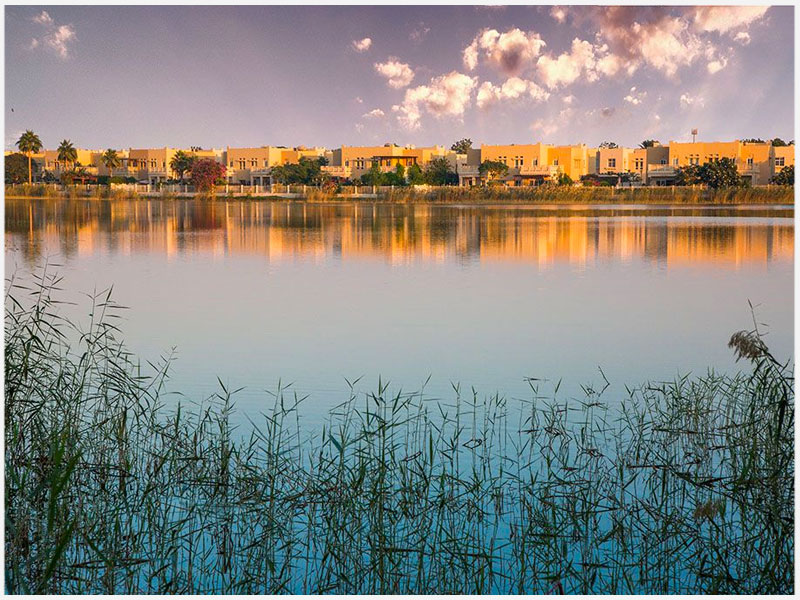 Laundry service in The lakes Dubai